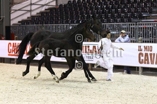 PRINCESS LIESA_MILANO_2010_SS3_7445.jpg